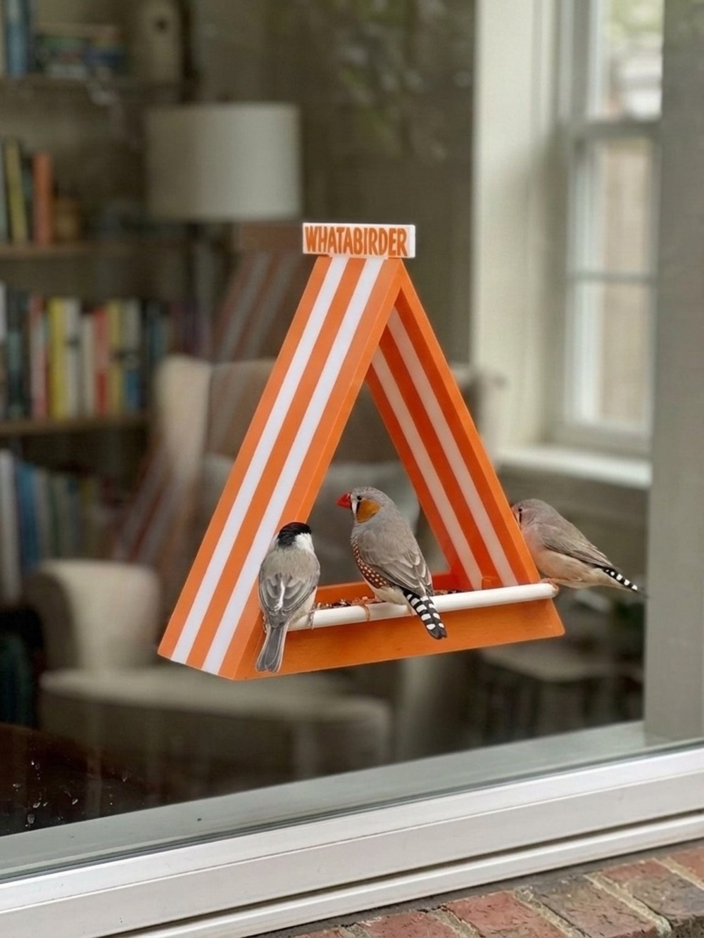 Whatabirder Window Perch Feeder